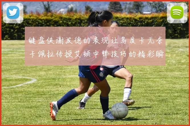 键盘侠谢泼德的表现让乌度卡无奈卡佩拉传授艾顿中锋技巧的精彩瞬间
